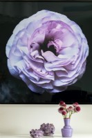 Gros plan d'une photographie de fleur violette avec fond noir et vase violet et cristaux.