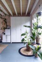 Grandes plantes d'intérieur dans des paniers avec casiers derrière - atelier moderne