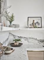 Arrangements de plantes d'intérieur sur des surfaces de cuisine en marbre