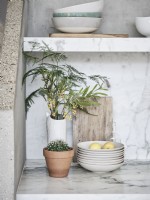 Arrangement de plantes d'intérieur et bols en céramique dans un présentoir minimaliste