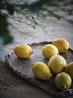 Affichage des citrons