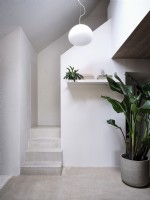 Couloir avec plantes d'intérieur