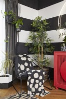 Détail d'angle dans un salon décloisonné, avec des murs à rayures noires et blanches, des plantes et une armoire rouge moderne.