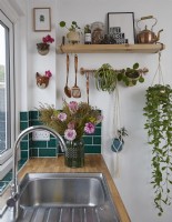 Détail d'une cuisine contemporaine avec évier, carreaux de métro verts et étagères ouvertes avec des plantes.