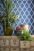 Papier peint bleu et tiroirs vintage avec des plantes