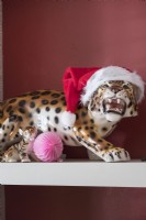 Ornement de léopard en céramique décoré pour Noël