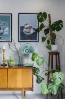 Décorations rétro, meubles et plantes debout sur le fond du mur avec des affiches