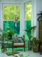 Fenêtre avec film de confidentialité coloré et plantes d'intérieur