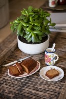 Plante succulente en pot sur plateau en bois avec thé et gâteau