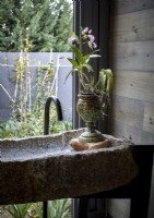 Plantez dans une urne dans un évier en pierre inhabituel à côté de la fenêtre