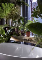 L'eau du bain coule dans la salle de bain remplie de plantes luxuriantes