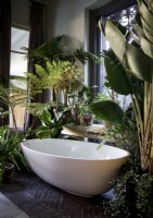 Plantes d'intérieur entourant le bain blanc autoportant