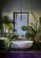 Baignoire autoportante entourée de plantes dans la salle de bains de campagne