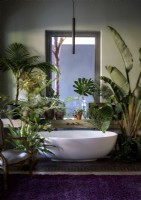 Bain blanc autoportant entouré de plantes d'intérieur luxuriantes
