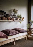 Coussins à motifs sur canapé bas avec étagère pleine de plantes d'intérieur