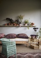 Canapé bas et coussins dans un salon de campagne rempli de plantes d'intérieur