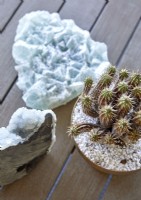 Détail de cactus et de cristaux sur une surface en bois