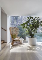 Grande plante d'intérieur et chaise en osier fleuri dans un fauteuil contemporain