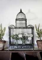 Cage à oiseaux vintage noire avec arrangement de fleurs blanches à l'intérieur