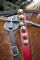 Détail des cloches de Noël sur le collier en cuir rouge du cheval