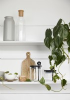 Plante d'intérieur verte sur une étagère de cuisine blanche