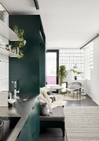 Mur peint en vert et unités de cuisine moderne