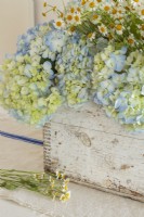 Une caisse patinée montre des hortensias délicats et des fleurs de camomille.