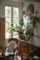Affichage des plantes d'intérieur sur un buffet vintage près des portes-fenêtres