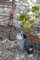 Détail des arrosoirs métalliques et des plantes en pot à côté du vieux banc