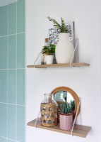 Petites étagères dans la salle de bains avec plantes d'intérieur et ornements