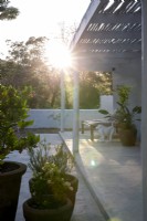 Jardinières sur terrasse au coucher du soleil