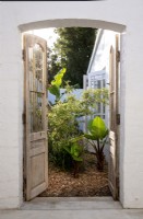 Portes anciennes en bois ouvrant sur un jardin étroit