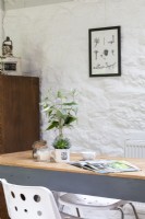Détail du bureau, avec des plantes succulentes en tasse, des murs blancs, lavés et du mobilier de bureau moderne