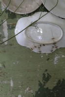 Détail de plaque fissurée sur mur peint en détresse