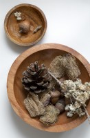 Bols en bois de matériaux naturels fourragers