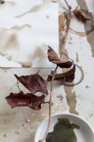 Papier et peinture feuilles d'automne - accessoires de bricolage