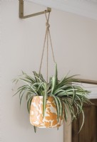 Plante d'intérieur suspendue dans un pot décoratif orange et blanc