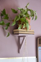 Petite étagère avec des livres et des plantes d'intérieur contre un mur peint en rose
