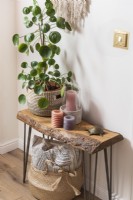 Bougies et grande plante d'intérieur sur une petite table en bois rustique