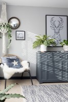 Salon gris et blanc, chaise d'angle avec plante suspendue 
