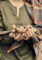 Détail d'une femme tenant des champignons dans ses mains 