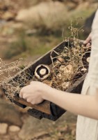Femme tenant un plateau en bois de champignons et de feuillages fourragers 